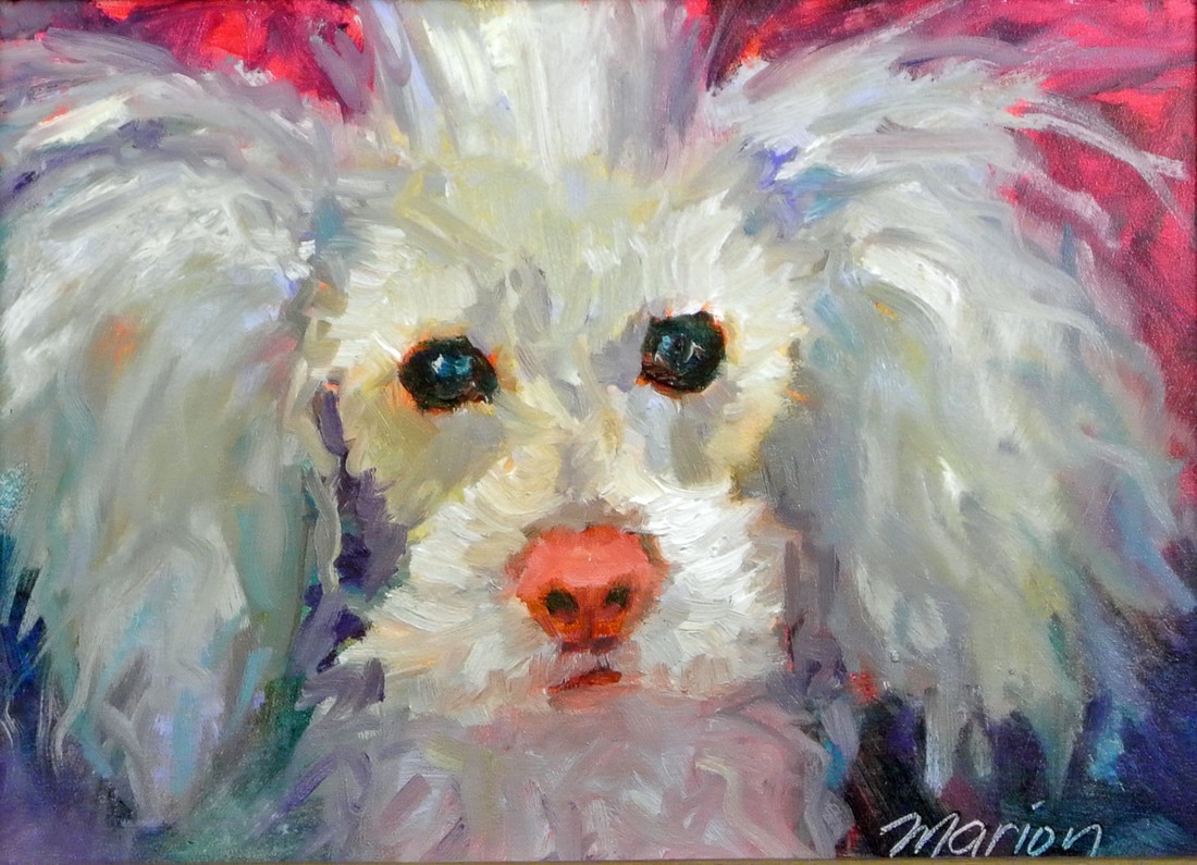 Poodle | oil painting | pet portrait | (c) Marion Corbin Mayer